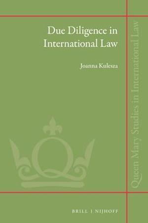 Due Diligence in International Law
