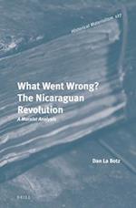 What Went Wrong? the Nicaraguan Revolution