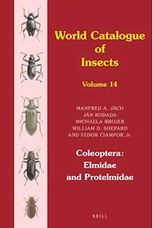 Coleoptera