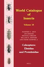 Coleoptera