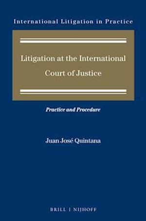Litigation at the International Court of Justice