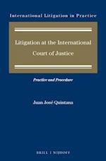Litigation at the International Court of Justice