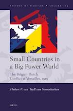 Small Countries in a Big Power World