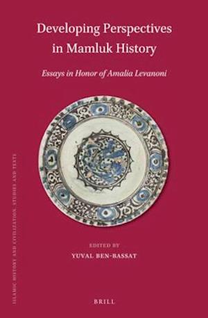 Developing Perspectives in Mamluk History