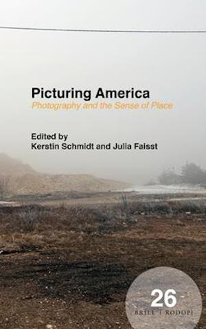 Picturing America