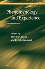 Phenomenology and Experience