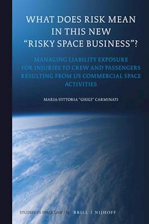 What Does Risk Mean in This New "risky Space Business"?