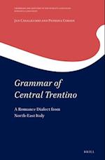 Grammar of Central Trentino