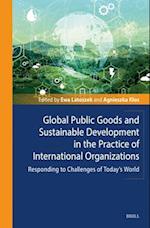 Global Public Goods and Sustainable Development in the Practice of International Organizations