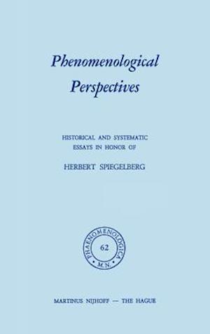 Phenomenological Perspectives