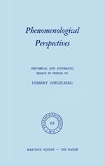 Phenomenological Perspectives