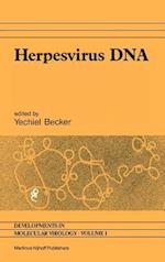Herpesvirus DNA