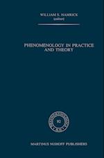 Phenomenology in Practice and Theory