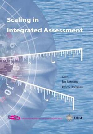 Scaling in Integrated Assessment