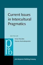 Current Issues in Intercultural Pragmatics