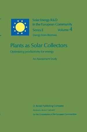 Plants as Solar Collectors: Optimizing Productivity for Energy