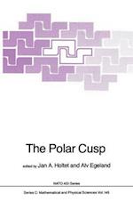 The Polar Cusp