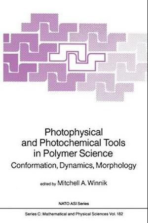 Photophysical and Photochemical Tools in Polymer Science