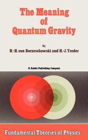 The Meaning of Quantum Gravity