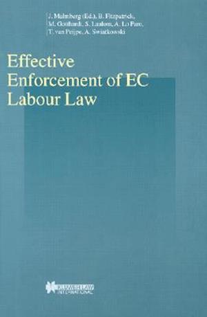 Effective Enforcement of EC Labour Law