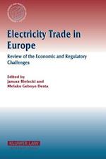 Electricity Trade in Europe Review of the Economic and Regulatory Changes