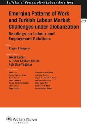 Emerging Patterns of Work and Turkish Labour Market Challenges Under Globalization