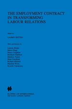 Employment Contract in Transforming Labour Relations