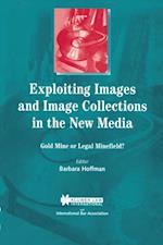 Exploiting Images and Image Collections in the New Media