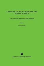 Labour Law, Human Rights and Social Justice