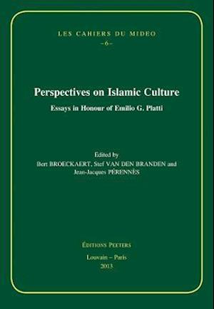 Perspectives on Islamic Culture