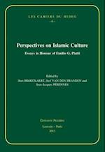 Perspectives on Islamic Culture
