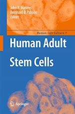 Human Adult Stem Cells