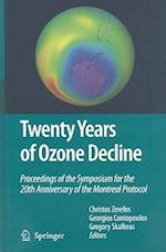 Twenty Years of Ozone Decline