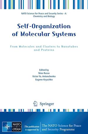 Self-Organization of Molecular Systems