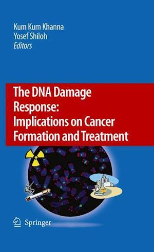 The DNA Damage Response: Implications on Cancer Formation and Treatment