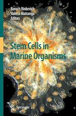 Stem Cells in Marine Organisms