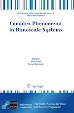 Complex Phenomena in Nanoscale Systems