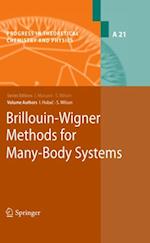 Brillouin-Wigner Methods for Many-Body Systems