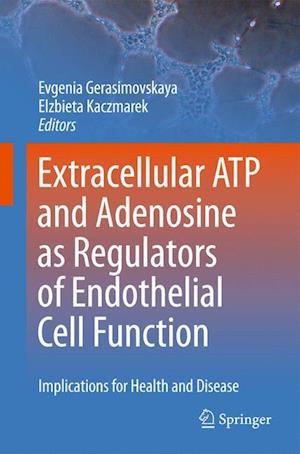 Extracellular ATP and adenosine as regulators of endothelial cell function