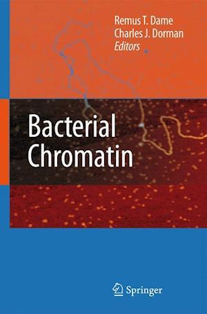 Bacterial Chromatin