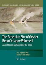 The Acheulian Site of Gesher Benot Ya’aqov Volume II