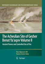 Acheulian Site of Gesher Benot Ya'aqov Volume II