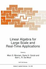 Linear Algebra for Large Scale and Real-Time Applications