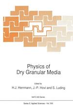 Physics of Dry Granular Media