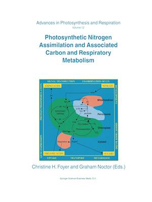 Photosynthetic Nitrogen Assimilation and Associated Carbon and Respiratory Metabolism