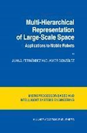 Multi-Hierarchical Representation of Large-Scale Space