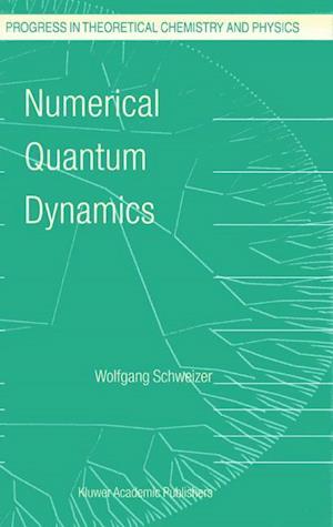 Numerical Quantum Dynamics