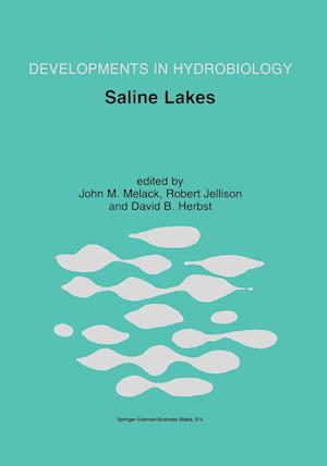 Saline Lakes