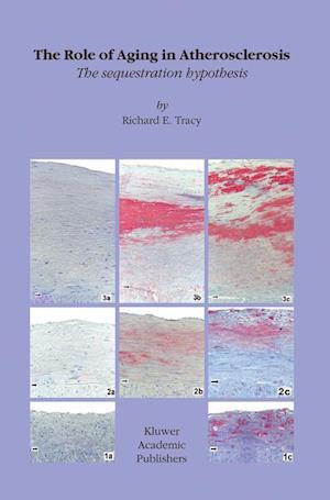 The Role of Aging in Atherosclerosis