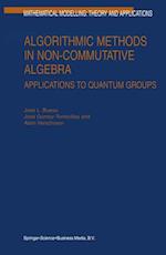 Algorithmic Methods in Non-Commutative Algebra